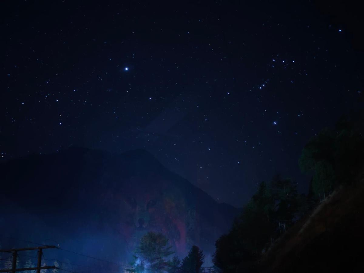 Snow View Guest House Kasol Eksteriør bilde