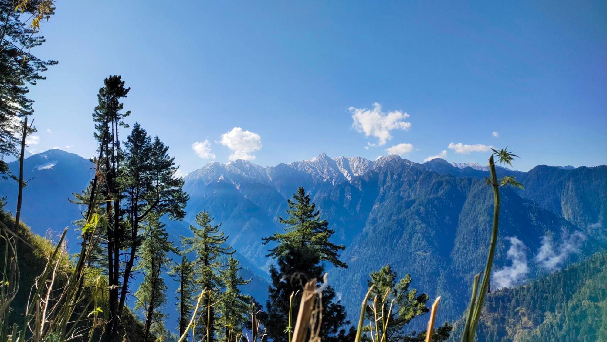 Snow View Guest House Kasol Eksteriør bilde