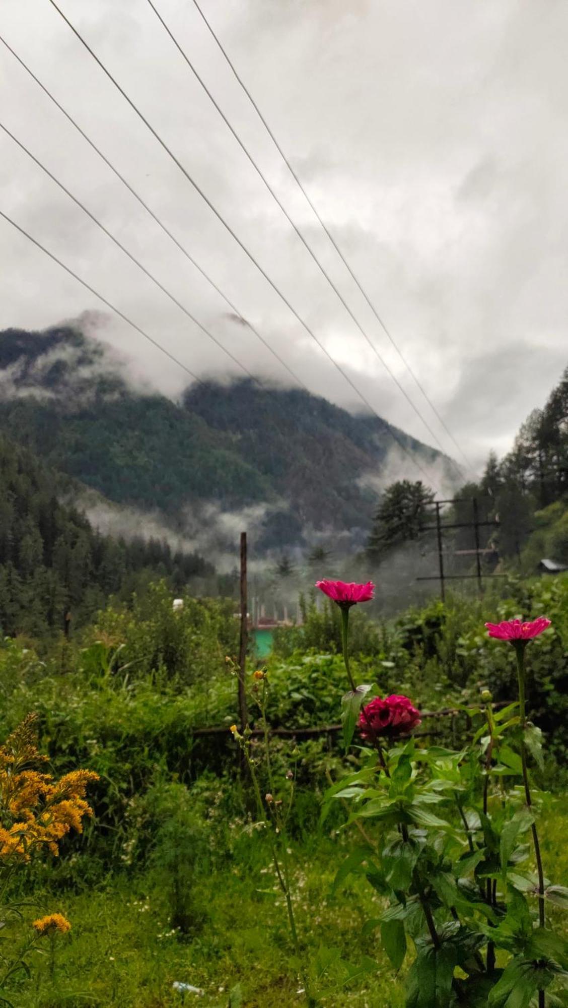 Snow View Guest House Kasol Rom bilde